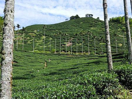 11535249_640730359397076_1820122269_o 11535249_640730359397076_1820122269_o