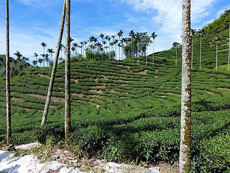 11639537_640730339397078_54886715_o 11639537_640730339397078_54886715_o