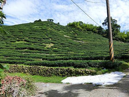 11649109_640730326063746_393558228_o 11649109_640730326063746_393558228_o