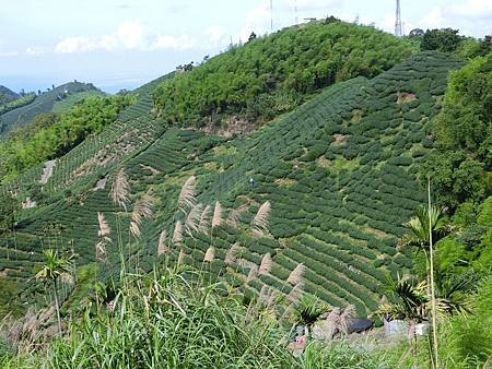 11640437_640730292730416_1560465203_o 11640437_640730292730416_1560465203_o