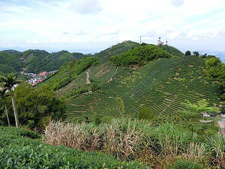 11640370_640730222730423_673796806_o 11640370_640730222730423_673796806_o