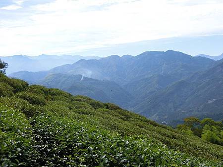 11542642_640730156063763_402642939_o 11542642_640730156063763_402642939_o