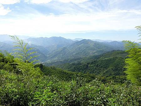 11640615_640730066063772_523937428_o 11640615_640730066063772_523937428_o