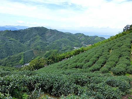 11639550_640730059397106_1937038402_o 11639550_640730059397106_1937038402_o