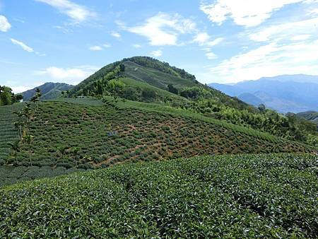 11639586_640729986063780_149274900_o 11639586_640729986063780_149274900_o