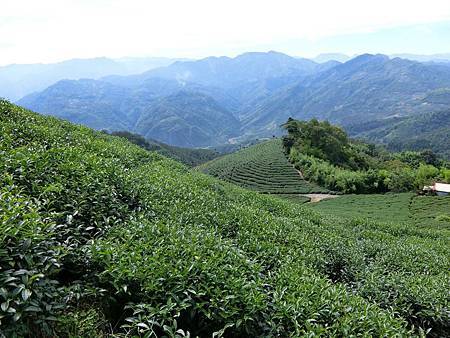 11638437_640730016063777_948283994_o 11638437_640730016063777_948283994_o