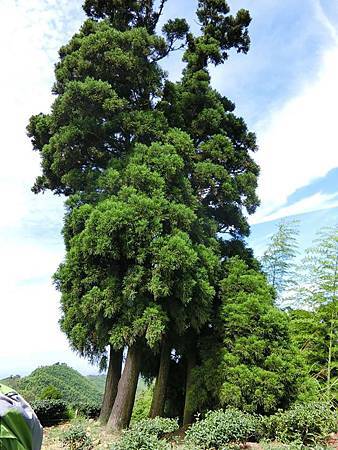 11358803_640729949397117_231459601_n 11358803_640729949397117_231459601_n