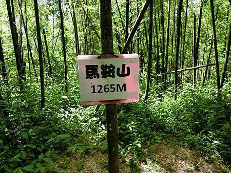 11639345_640715026065276_1039009211_o 11639345_640715026065276_1039009211_o