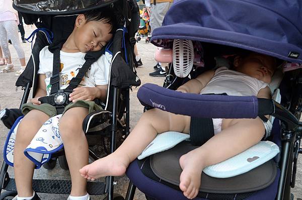 DSC_0997e.jpg DSC_0997e.jpg