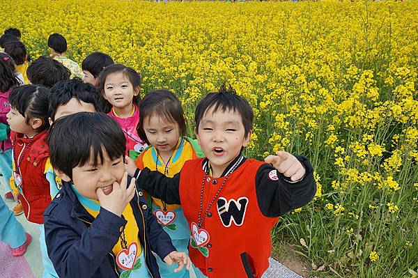 渠盪儅鷓奢錳嶸瓣粒26