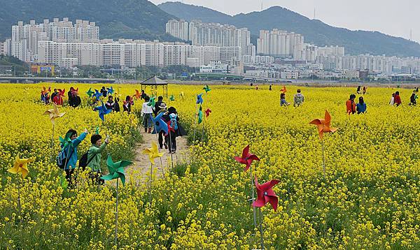 渠盪儅鷓奢錳嶸瓣粒30