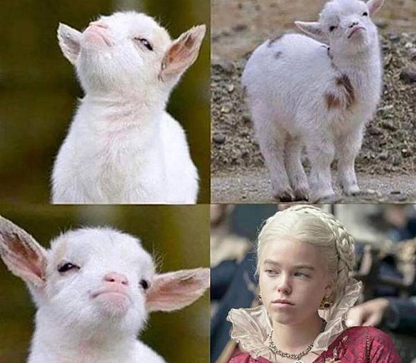 mtrrd0n8ncn91.jpg mtrrd0n8ncn91.jpg