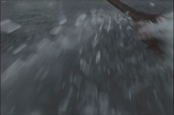 5566-1.gif 5566-1.gif