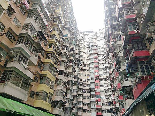 13312606_1296476107032459_4006952794739725273_n