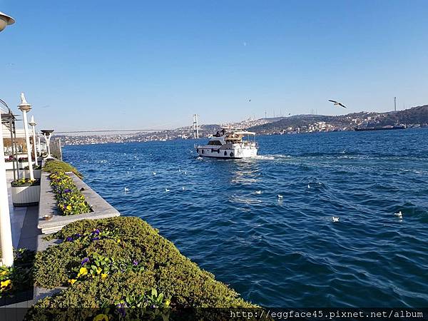 IMG_6343.JPG IMG_6343.JPG