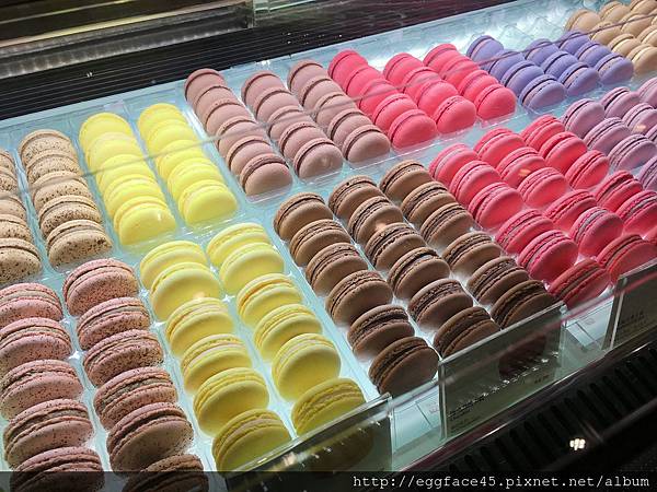 IMG_9896.JPG IMG_9896.JPG