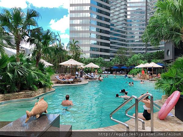 IMG_9177 2.JPG IMG_9177 2.JPG