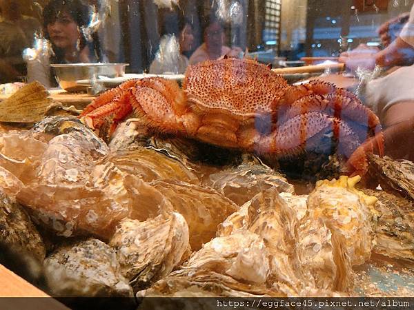 IMG_7451.JPG IMG_7451.JPG