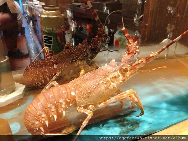 IMG_7452.JPG IMG_7452.JPG