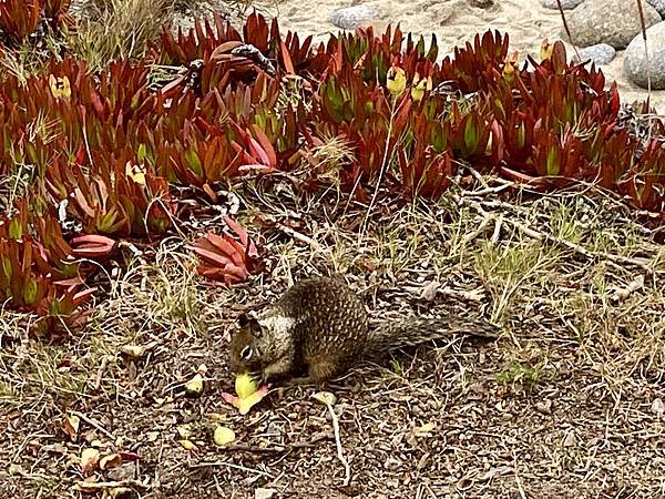 F0EA8291-216A-45FC-8E55-B1AFD6FE11AE_1_201_a.jpeg F0EA8291-216A-45FC-8E55-B1AFD6FE11AE_1_201_a.jpeg