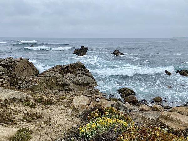 25D0C7DE-4DBB-4A6A-994D-3466FFDC48E2_1_201_a.jpeg 25D0C7DE-4DBB-4A6A-994D-3466FFDC48E2_1_201_a.jpeg