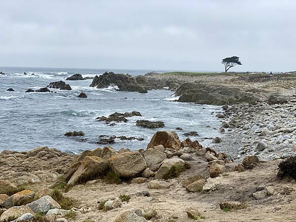 F26ED896-2DFD-48C9-BDF3-924626FA9534_1_201_a.jpeg F26ED896-2DFD-48C9-BDF3-924626FA9534_1_201_a.jpeg