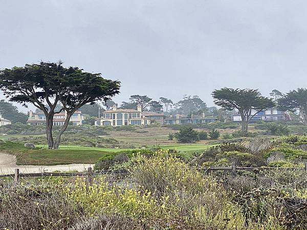 0DE731EB-E47C-46FA-851A-D4CC19BB87A4_1_201_a.jpeg 0DE731EB-E47C-46FA-851A-D4CC19BB87A4_1_201_a.jpeg