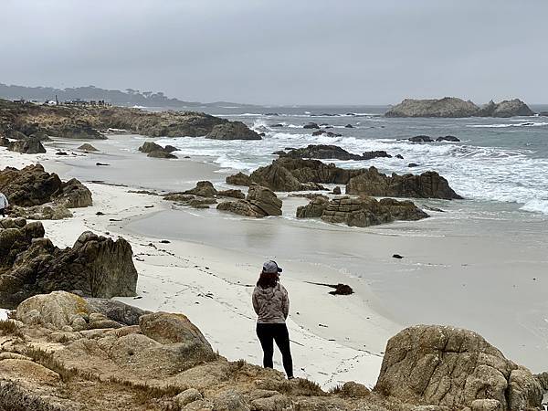 4E93C3F4-A4C3-4B87-B2F6-2BA41FF9AC86_1_201_a.jpeg 4E93C3F4-A4C3-4B87-B2F6-2BA41FF9AC86_1_201_a.jpeg