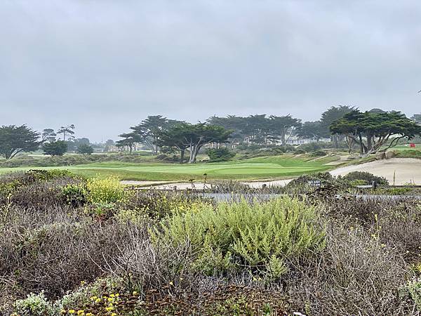 EF2FE531-412E-438F-A418-894894EFC517_1_201_a.jpeg EF2FE531-412E-438F-A418-894894EFC517_1_201_a.jpeg