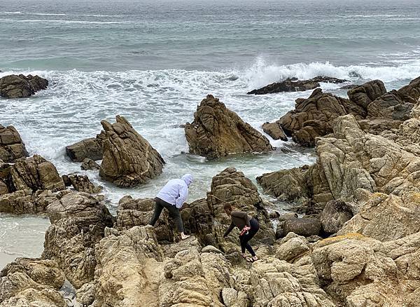 0D4218A7-4FF3-433A-A64F-652343C34A0D_1_201_a.jpeg 0D4218A7-4FF3-433A-A64F-652343C34A0D_1_201_a.jpeg