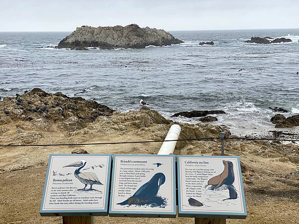 94D293BE-7014-4A46-A187-A95F418D382E_1_201_a.jpeg 94D293BE-7014-4A46-A187-A95F418D382E_1_201_a.jpeg