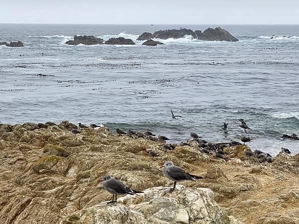 264D258F-FC3E-469E-A8ED-1227D68BF6BC_1_201_a.jpeg 264D258F-FC3E-469E-A8ED-1227D68BF6BC_1_201_a.jpeg