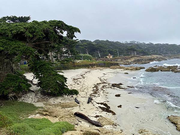 4820F28F-EDE2-4017-A95F-1841DB978D33_1_201_a.jpeg 4820F28F-EDE2-4017-A95F-1841DB978D33_1_201_a.jpeg