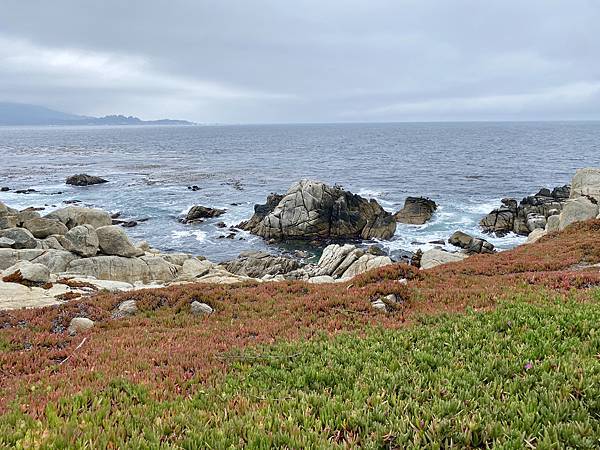 42F59CB3-A866-4AF1-9F63-EB2FEA7725AE_1_201_a.jpeg 42F59CB3-A866-4AF1-9F63-EB2FEA7725AE_1_201_a.jpeg