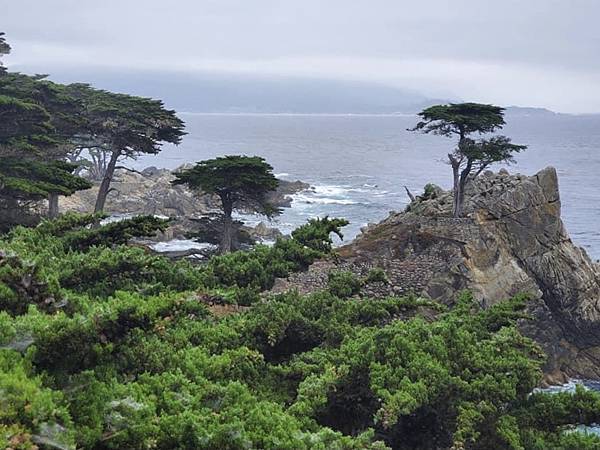 IMG_7735.JPG IMG_7735.JPG