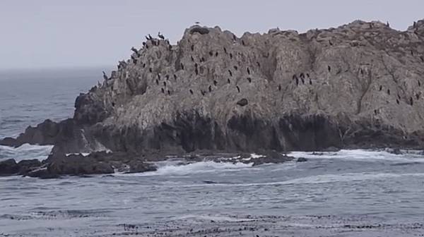 IMG_7734.PNG IMG_7734.PNG