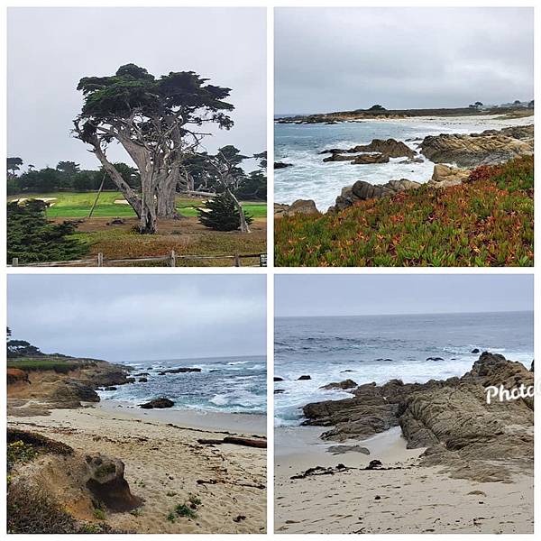 IMG_7741.JPG IMG_7741.JPG