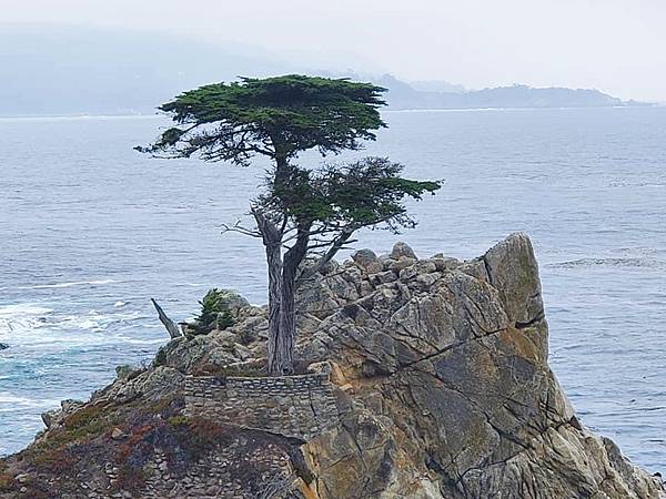 IMG_7756.JPG IMG_7756.JPG