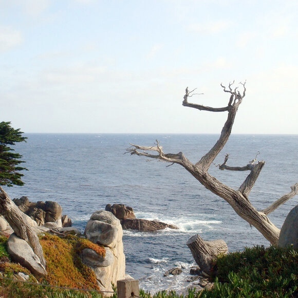 IMG_7757.JPG IMG_7757.JPG