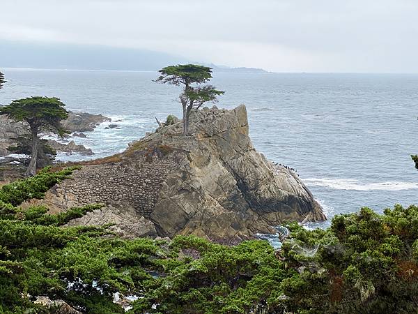 IMG_7758.JPG IMG_7758.JPG