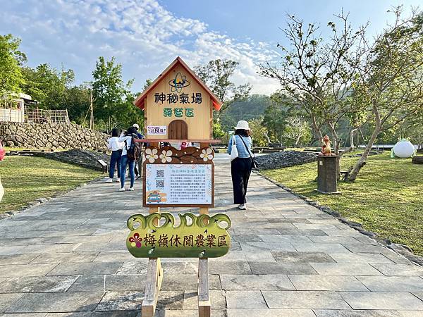 [台南旅遊景點] 楠西梅嶺兩天一夜 梅酒DIY 螢火蟲季 神