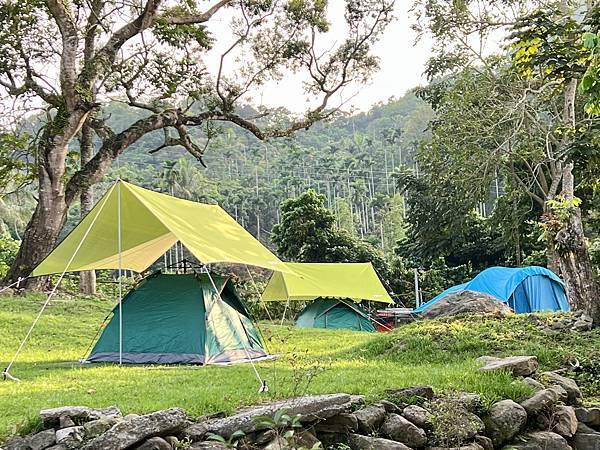 [台南旅遊景點] 楠西梅嶺兩天一夜 梅酒DIY 螢火蟲季 神