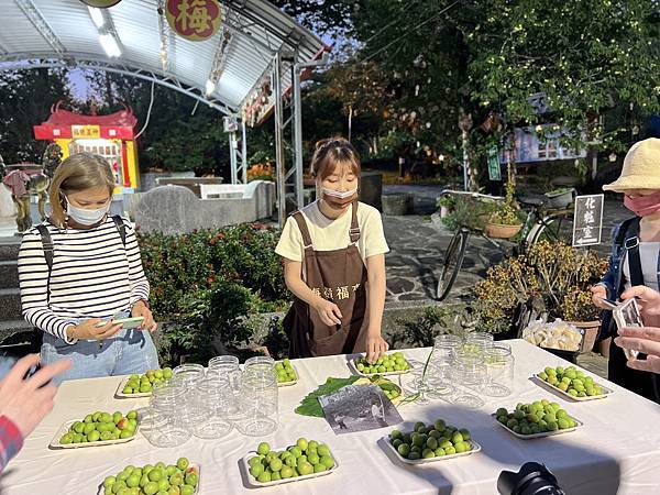 [台南旅遊景點] 楠西梅嶺兩天一夜 梅酒DIY 螢火蟲季 神