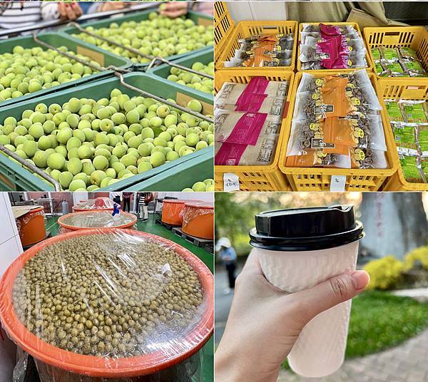 [台南旅遊景點] 楠西梅嶺兩天一夜 梅酒DIY 螢火蟲季 神