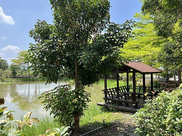 [台南旅遊景點] 楠西梅嶺兩天一夜 梅酒DIY 螢火蟲季 神