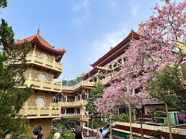 [台南旅遊景點] 楠西梅嶺兩天一夜 梅酒DIY 螢火蟲季 神