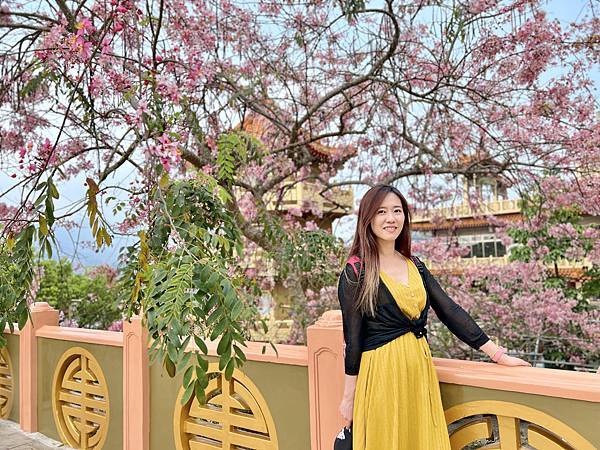 [台南旅遊景點] 楠西梅嶺兩天一夜 梅酒DIY 螢火蟲季 神