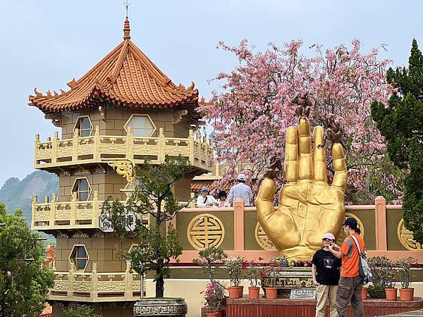 [台南旅遊景點] 楠西梅嶺兩天一夜 梅酒DIY 螢火蟲季 神