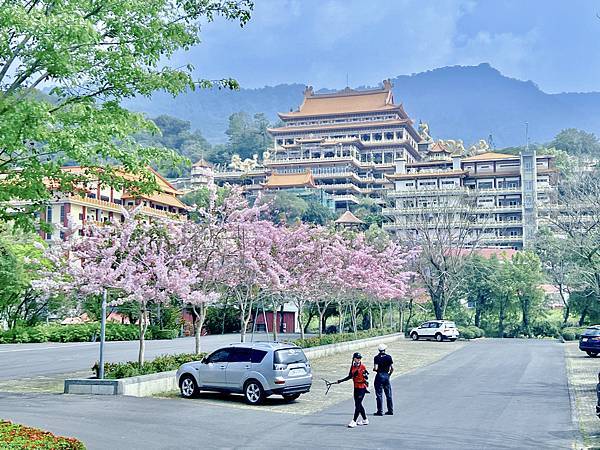 [台南旅遊景點] 楠西梅嶺兩天一夜 梅酒DIY 螢火蟲季 神