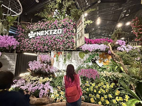 [台南蘭展] 2025亞太蘭花會議暨臺灣國際蘭展 20大精彩